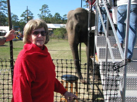 Barbara Bunn Photo 16