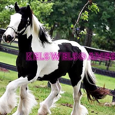 Kelsey Brooks Photo 14