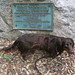 Sharon Link Photo 27