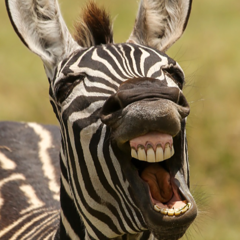 Jason Crow Photo 26 Jason Crow Photo 26