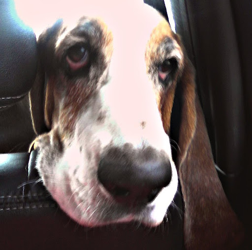 Nanette Clements Photo 2