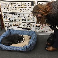 Regina Swift Photo 10