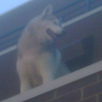 Matthew Healy Photo 25 Matthew Healy Photo 25