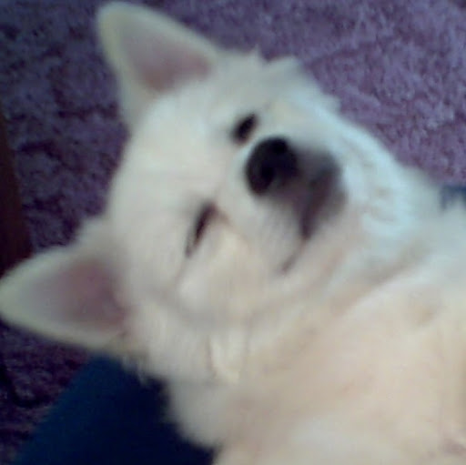 Jill Hartman Photo 28