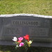 William Collingwood Photo 11