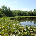 Joseph Spicer Photo 8