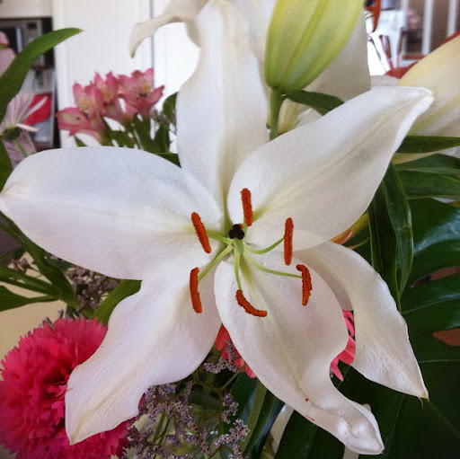 Janet Parsons Photo 34