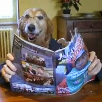 Steve Mercer Photo 34 Steve Mercer Photo 34