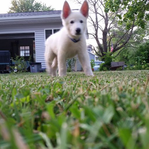 Michael Berry Photo 52 Michael Berry Photo 52