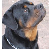 Regina Ross Photo 32