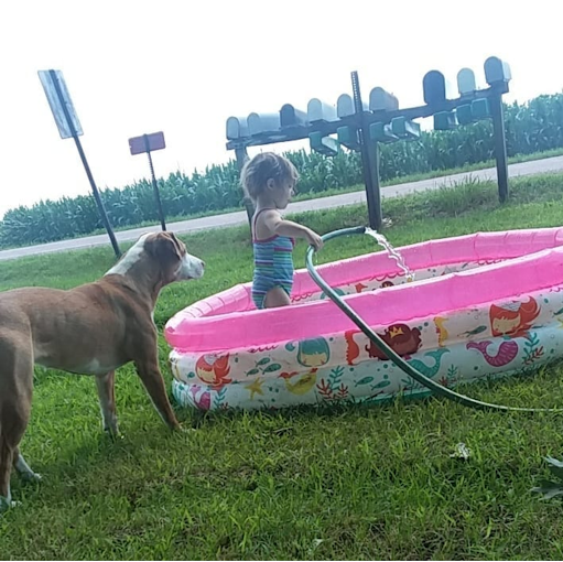 Travis Mitchell Photo 15