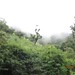 Kamlesh Amin Photo 24