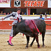 Alejandro Amaya Photo 4