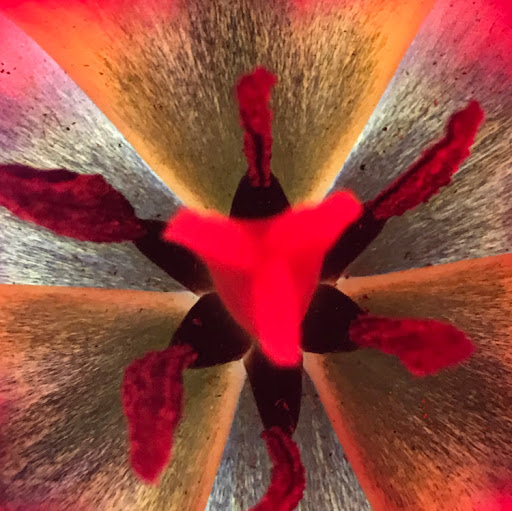 James Munroe Photo 37