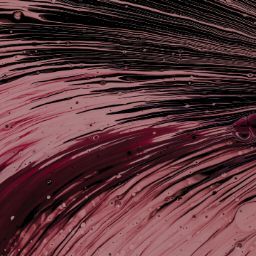 Timothy Mccullough Photo 25