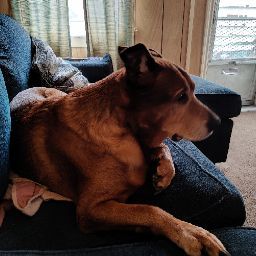 Scott Witman Photo 15