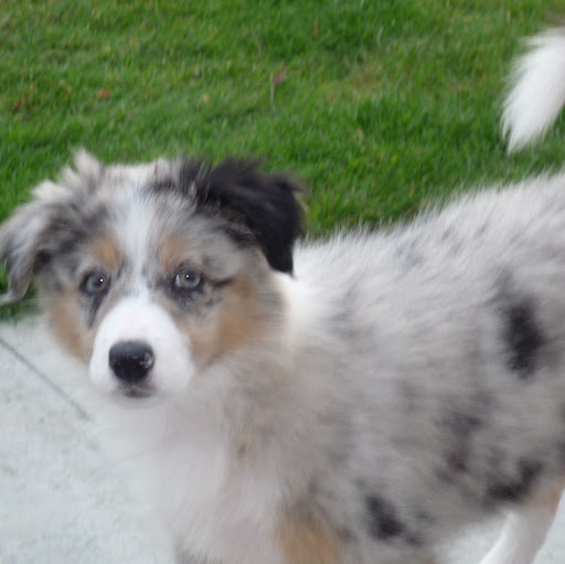 Margaret Stewart Photo 27