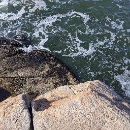 Michelle Shen Photo 6