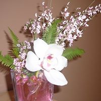 Carole Leblanc Photo 10