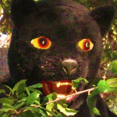 Joyce Fitzpatrick Photo 30 Joyce Fitzpatrick Photo 30