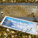 Kathy Benton Photo 34