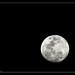 Randell Moon Photo 3