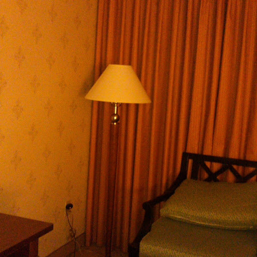 Michael Trotter Photo 40