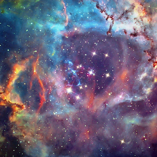 Julia Flores Photo 12