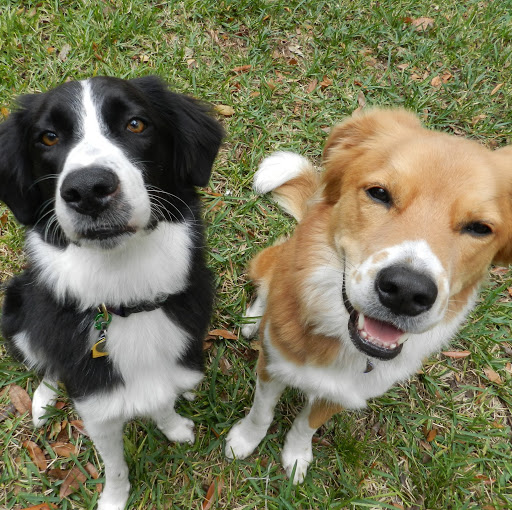 Summer Brown Photo 24