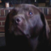 Vincent Cooper Photo 9