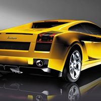 Wayne Robertson Photo 11