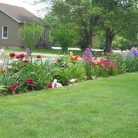 Carolyn Dyson Photo 12