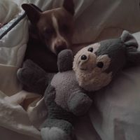 Debbie Seaton Photo 27