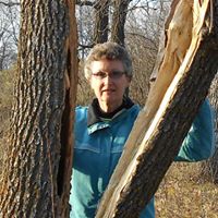 Nancy Wood Photo 28