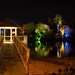 Virginia Lake Photo 16