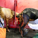 Kristina Barker Photo 6
