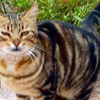 Tamara Lee Photo 46 Tamara Lee Photo 46