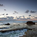 Byron Sharp Photo 33