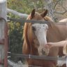 Kelly Kidd Photo 20