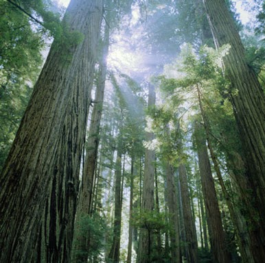 Megan Brown Photo 12