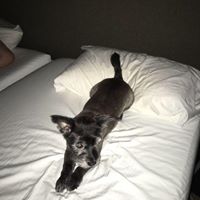 Eugene Morrison Photo 4