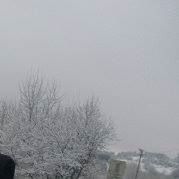 Stephanie Allaire Photo 5