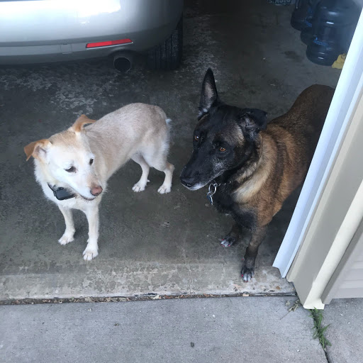 Julie Dudley Photo 18