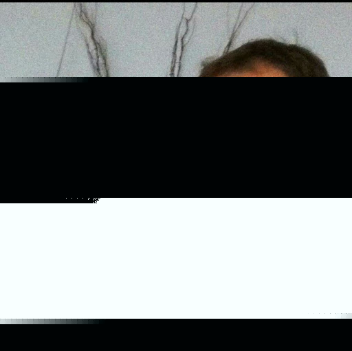 Craig Webster Photo 16