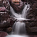Karl Wee Photo 10
