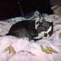 Rachel Kolb Photo 21