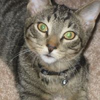 Jack Holmes Photo 23