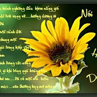 Ngoc Do Photo 25