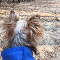 Cynthia Kim Photo 17