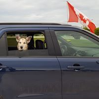 Mike Deschenes Photo 16